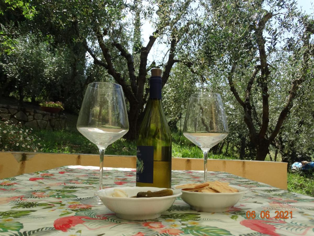 Poggio House, Tranquillita E Comfort Nella Natura San Casciano in Val di Pesa Εξωτερικό φωτογραφία