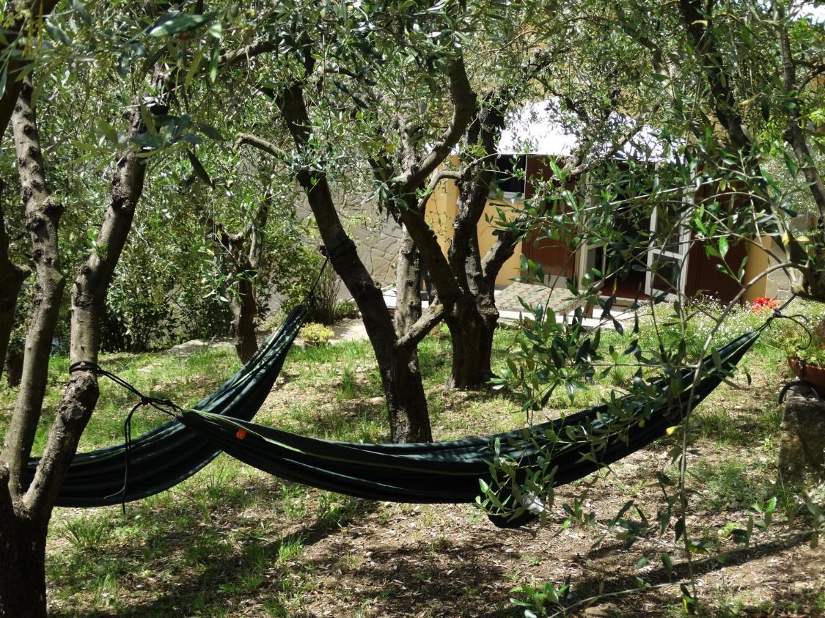 Poggio House, Tranquillita E Comfort Nella Natura San Casciano in Val di Pesa Εξωτερικό φωτογραφία