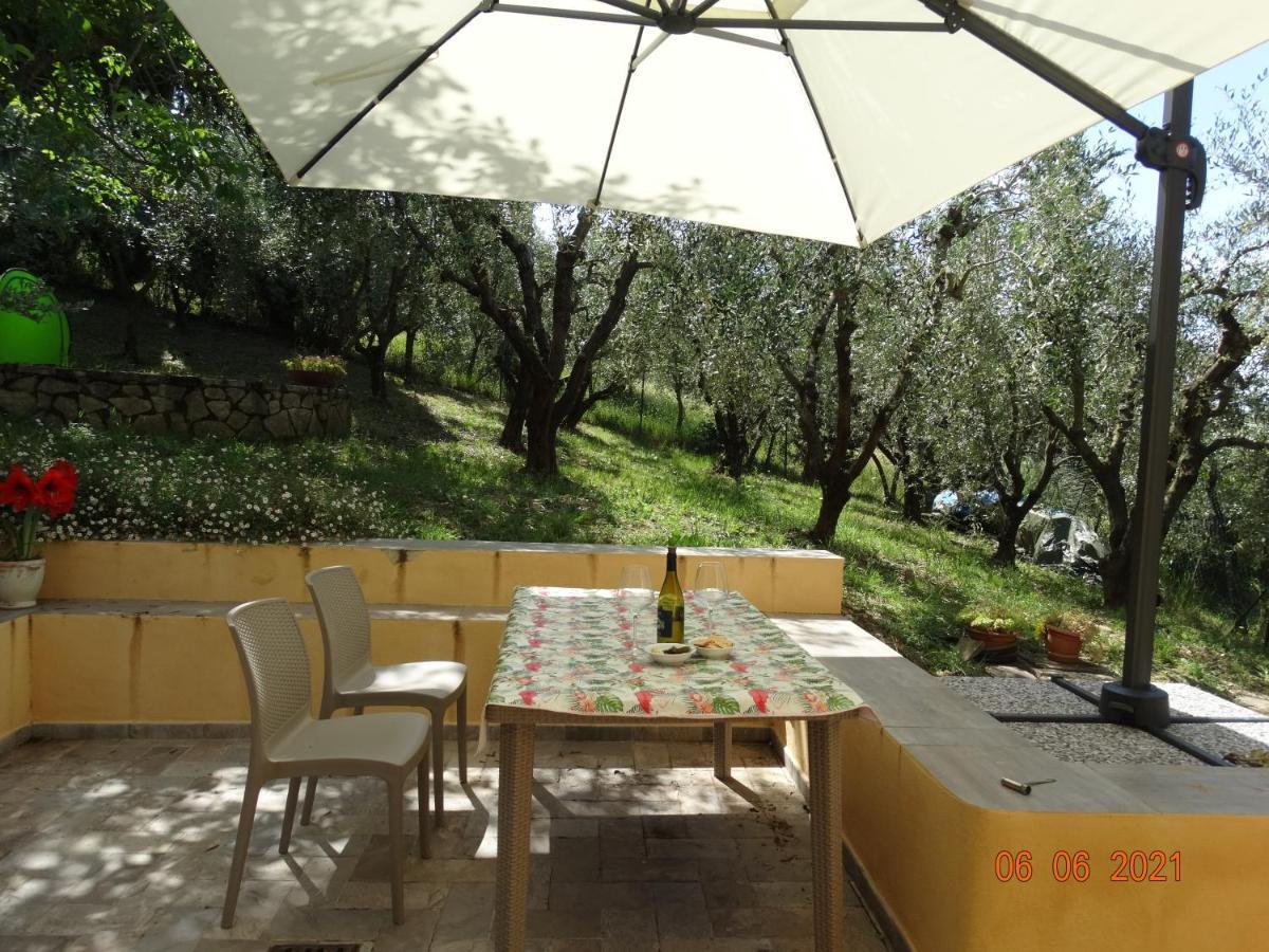Poggio House, Tranquillita E Comfort Nella Natura San Casciano in Val di Pesa Εξωτερικό φωτογραφία