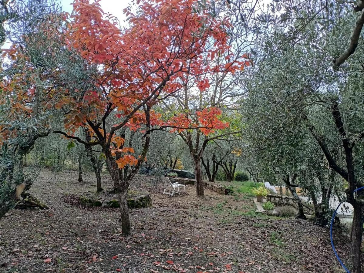 Poggio House, Tranquillita E Comfort Nella Natura San Casciano in Val di Pesa Εξωτερικό φωτογραφία