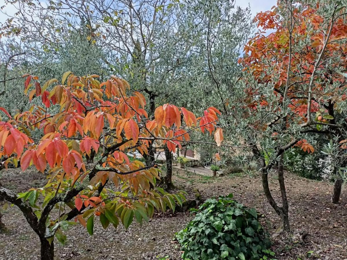 Poggio House, Tranquillita E Comfort Nella Natura San Casciano in Val di Pesa Εξωτερικό φωτογραφία