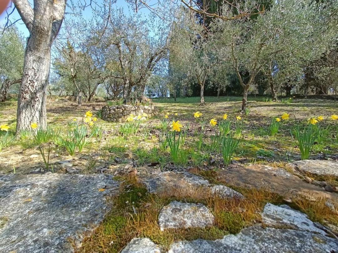 Poggio House, Tranquillita E Comfort Nella Natura San Casciano in Val di Pesa Εξωτερικό φωτογραφία